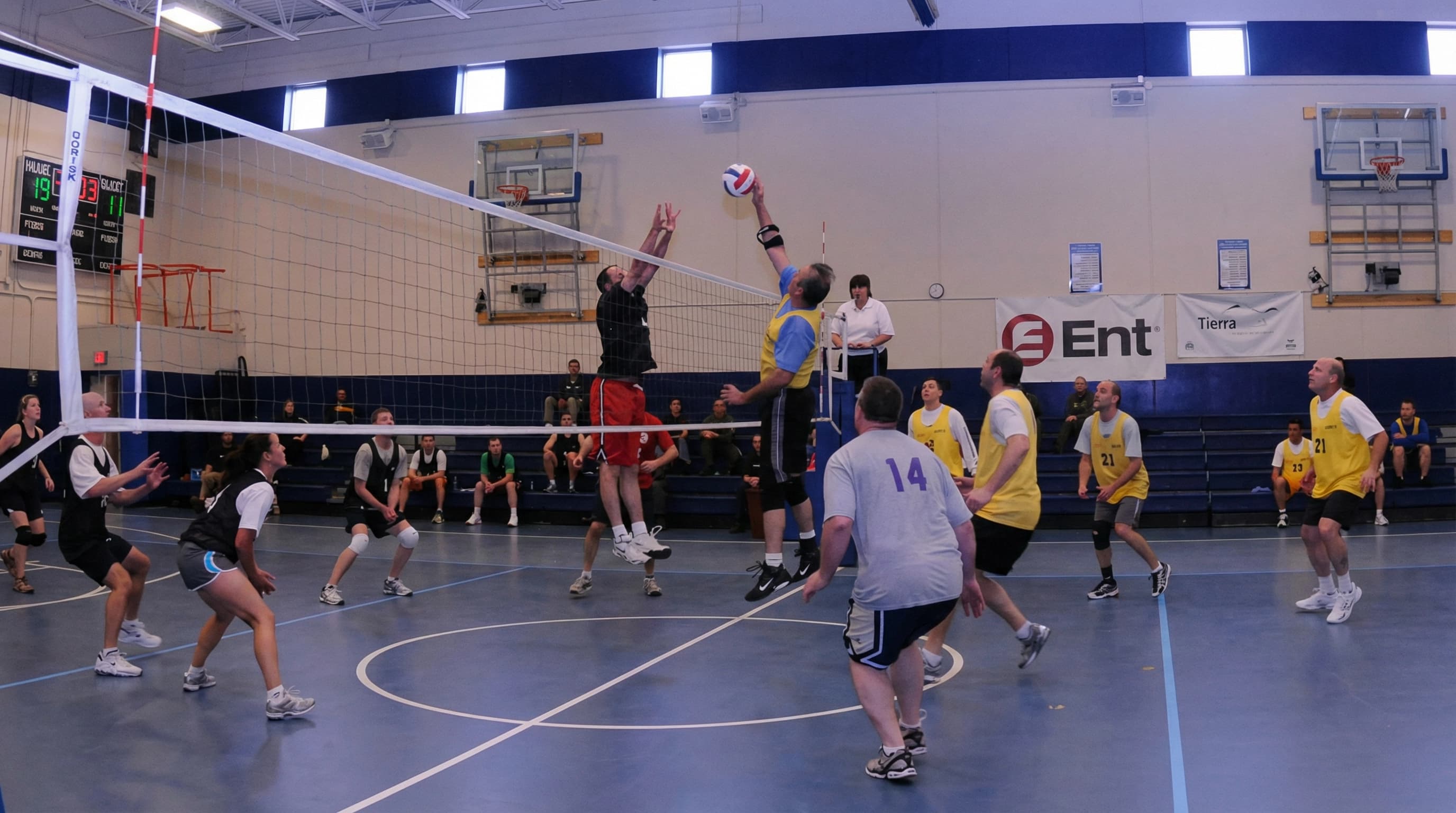 Adult Volleyball League in Calgary — VISION Elite Academy