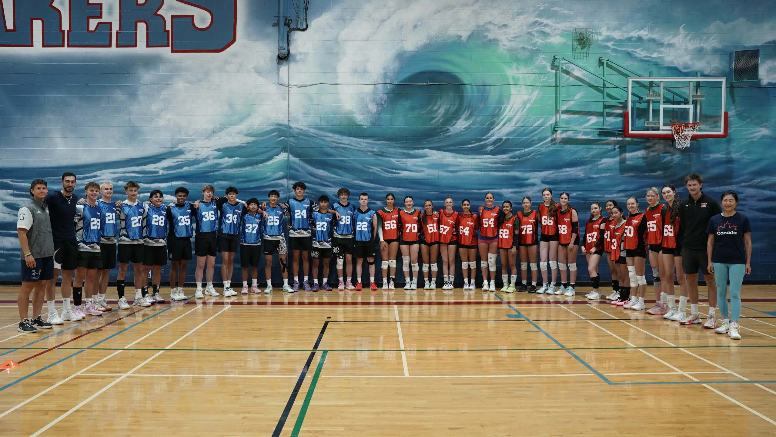 Volleyball Showcase in Calgary — VISION Elite Academy