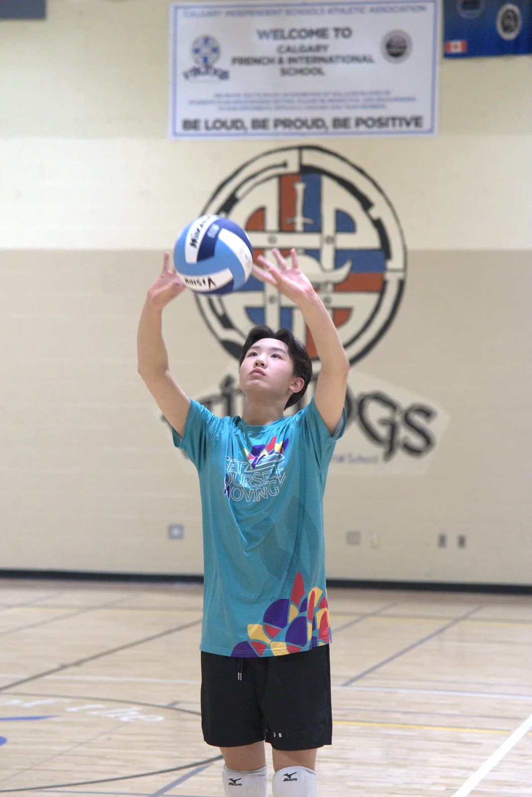 Private Volleyball Lessons in Calgary — VISION Elite Academy